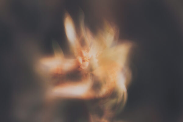  - Image 6 of 8