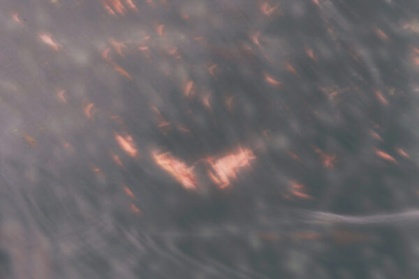  - Image 7 of 8