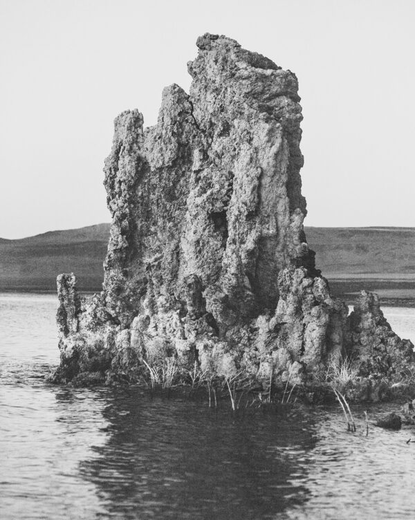  - Image 3 of 8