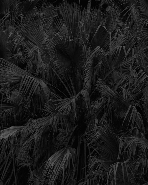  - Image 8 of 8