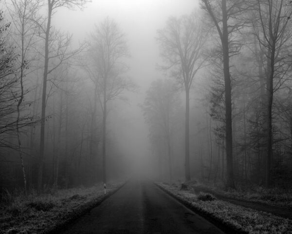  - Image 8 of 8