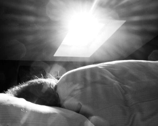  - Image 7 of 8