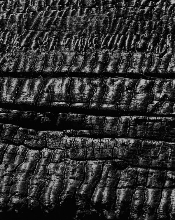  - Image 7 of 8