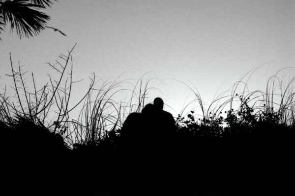  - Image 6 of 8