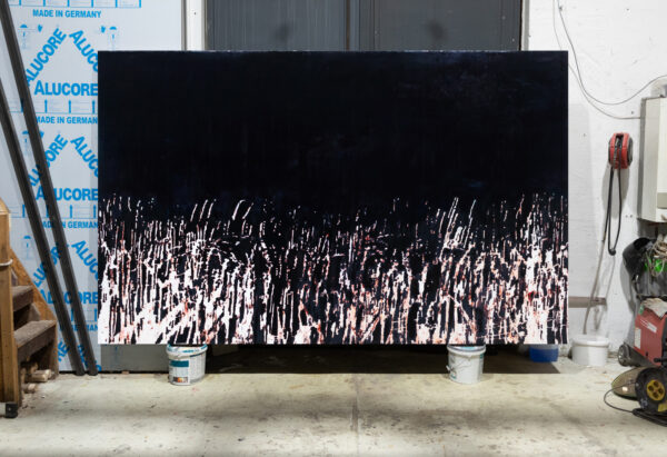  - Image 2 of 8