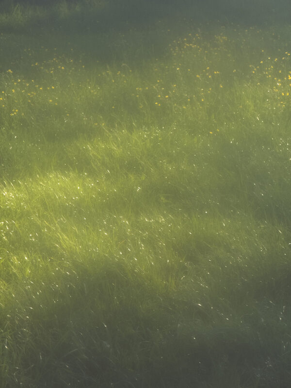  - Image 6 of 8