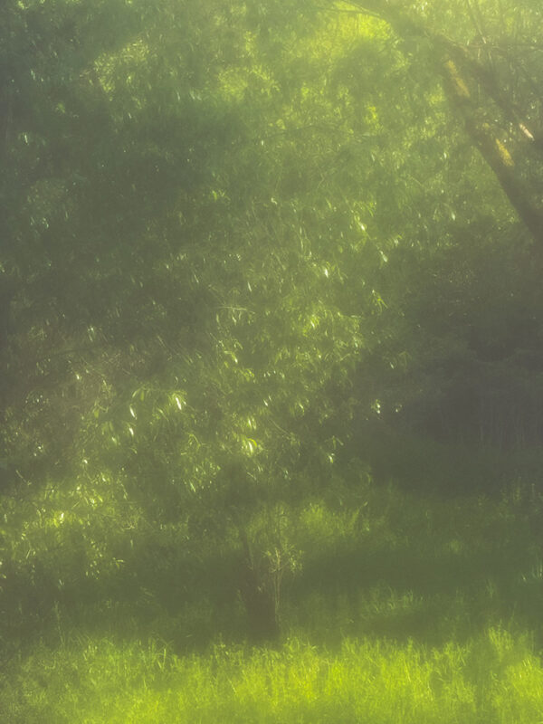  - Image 3 of 8