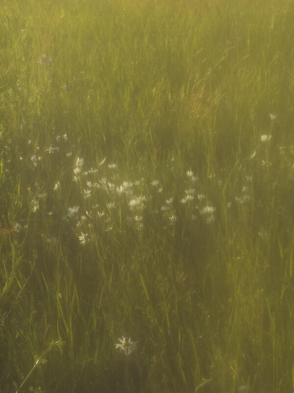  - Image 5 of 8