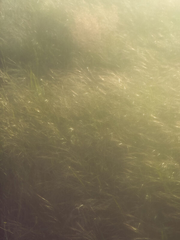  - Image 8 of 8