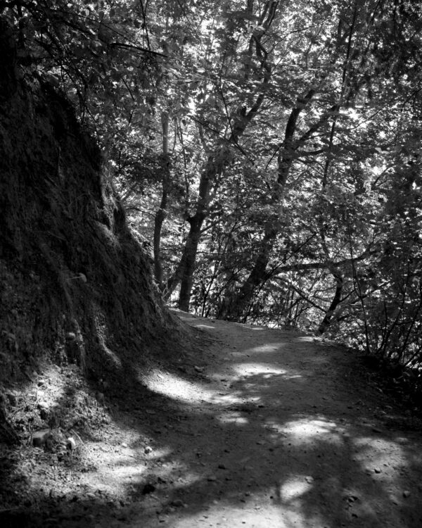  - Image 1 of 8