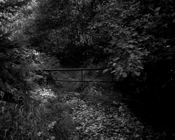  - Image 4 of 8