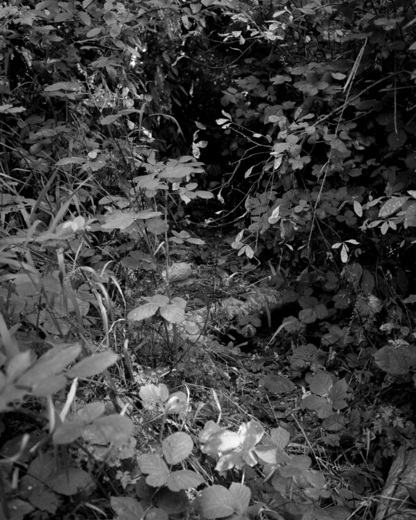  - Image 2 of 8