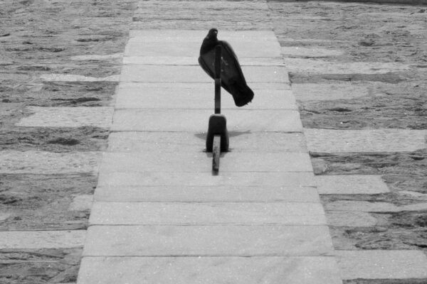  - Image 1 of 8