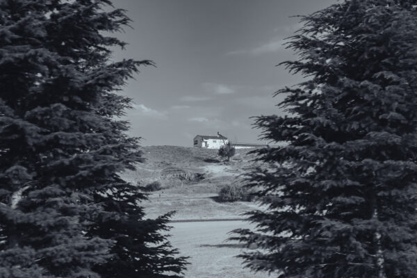  - Image 2 of 8