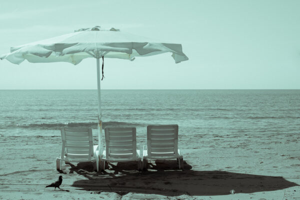  - Image 8 of 8