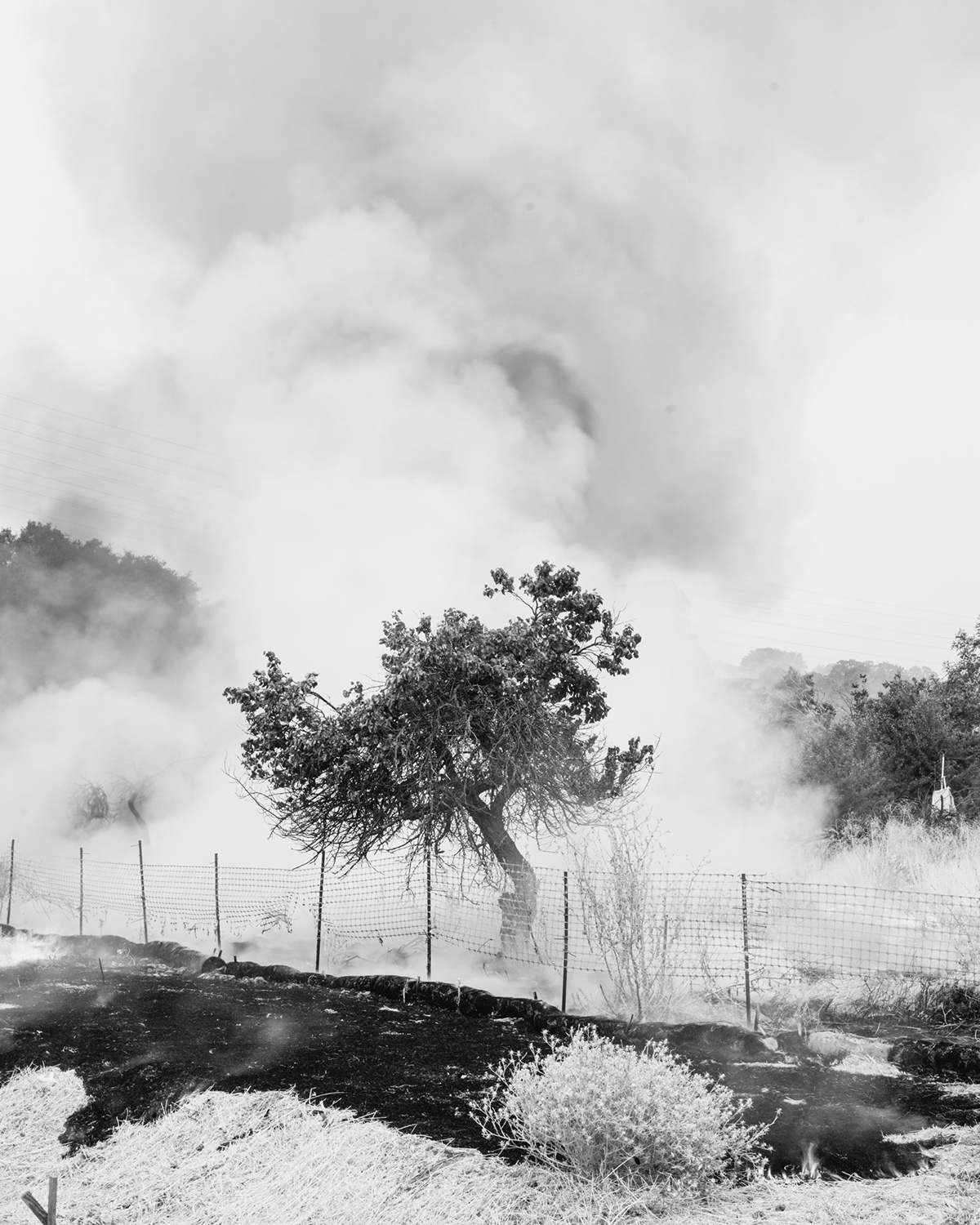 ثِقَلُ الرَّمَادِ  
— تصوير: إيان بيتس