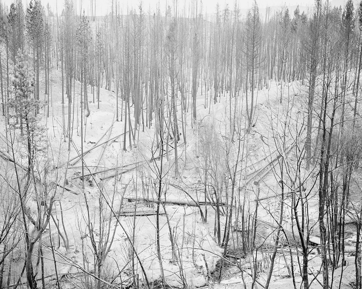 “The Weight Of Ash” by Photographer Ian Bates