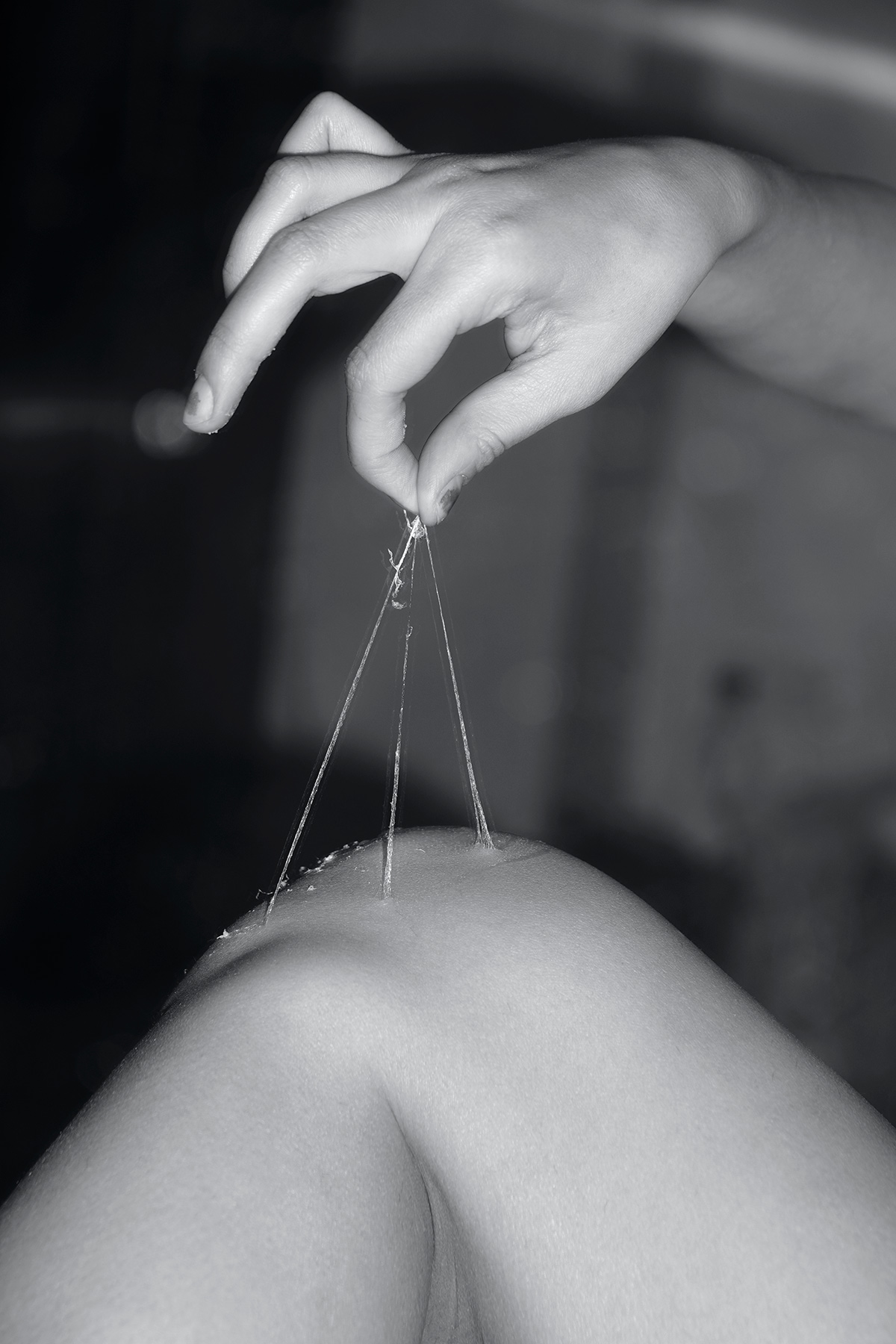 «ليس بهذه الصورة، يا أحمق!»
المُصَوِّرَة: هستي نجفي