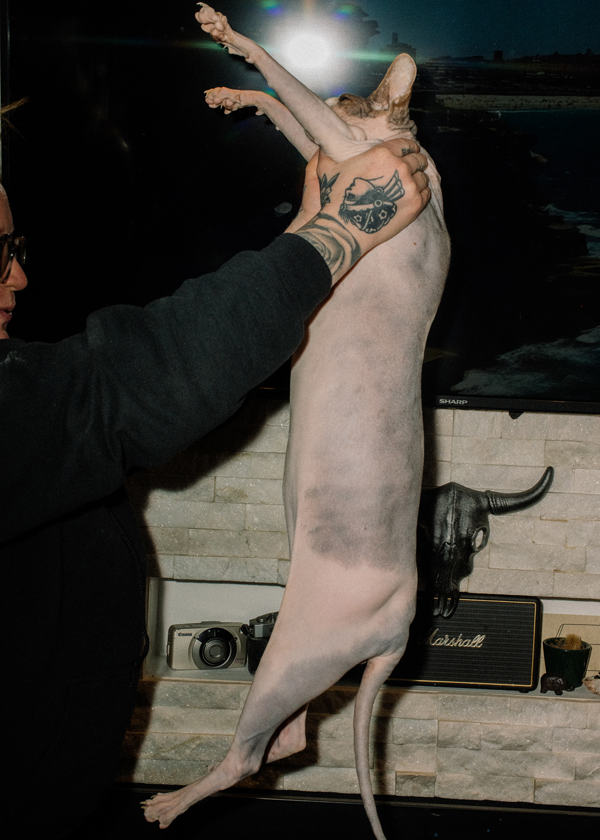 Photographer Spotlight: Alana Paterson