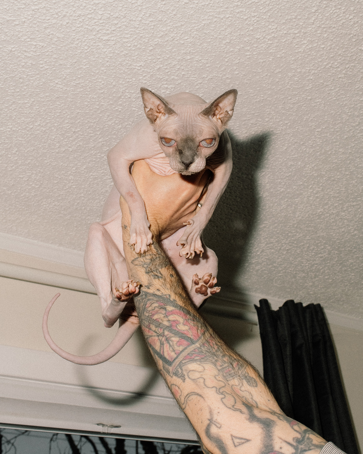 ألانا باترسون
بووووووم!
ابتكار • إلهام • مجتمع • فن • تصميم • موسيقى • فيلم • تصوير • مشاريع