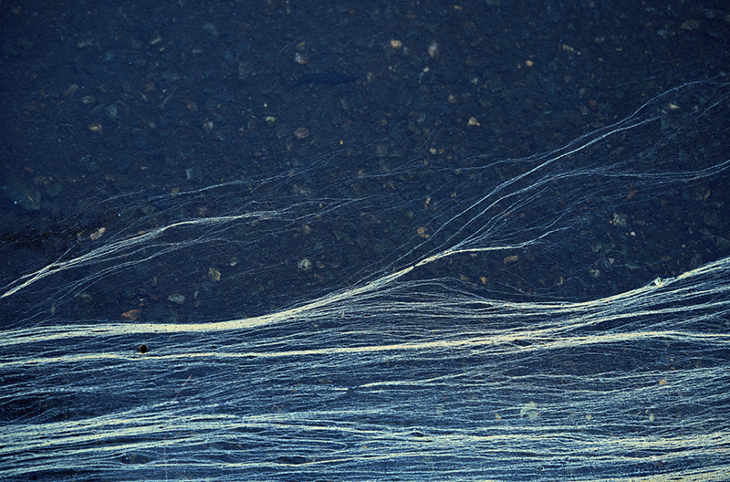 Dynamic Se Water Dynamic Water – BOOOOOOOM! – CREATE * INSPIRE * COMMUNITY * ART ...