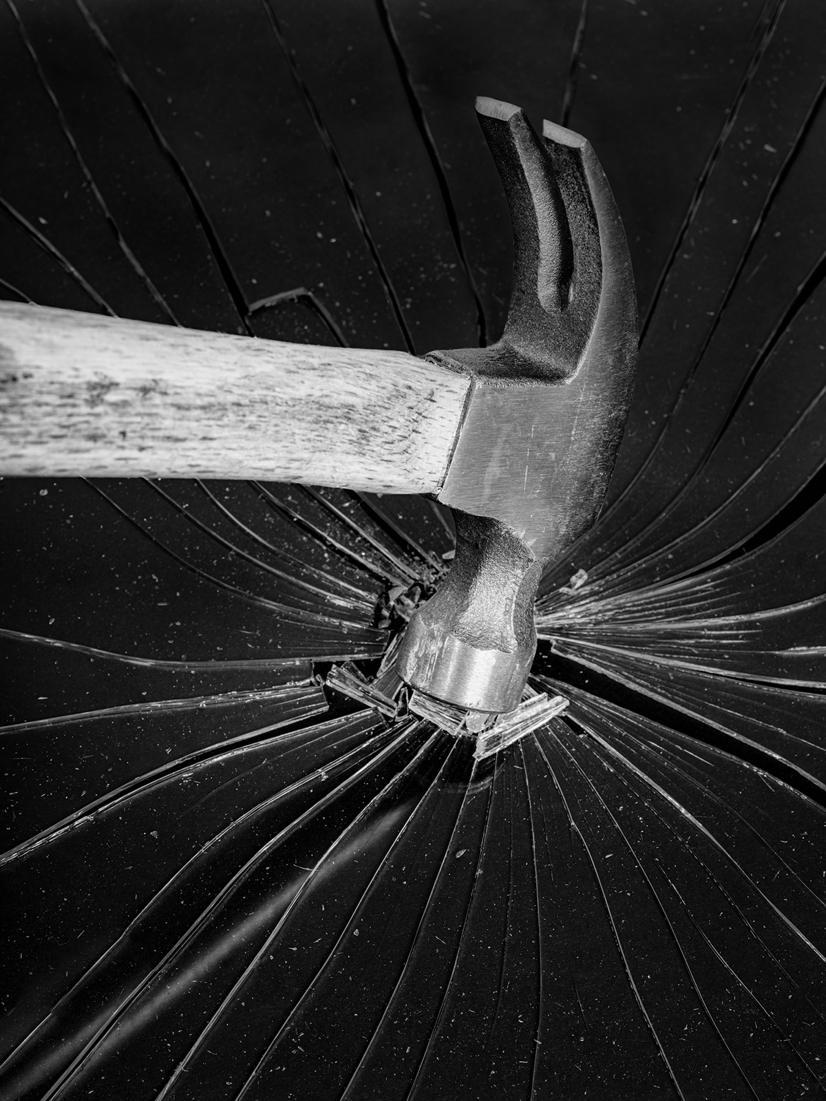 جَرِّب، خُذ وَقْتَكَ — خُذ وَقْتَكَ، جَرِّب
تصوير: جيسي لي