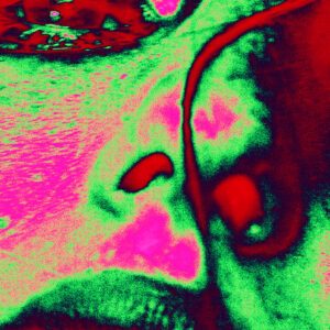 greenhomemadeseventy