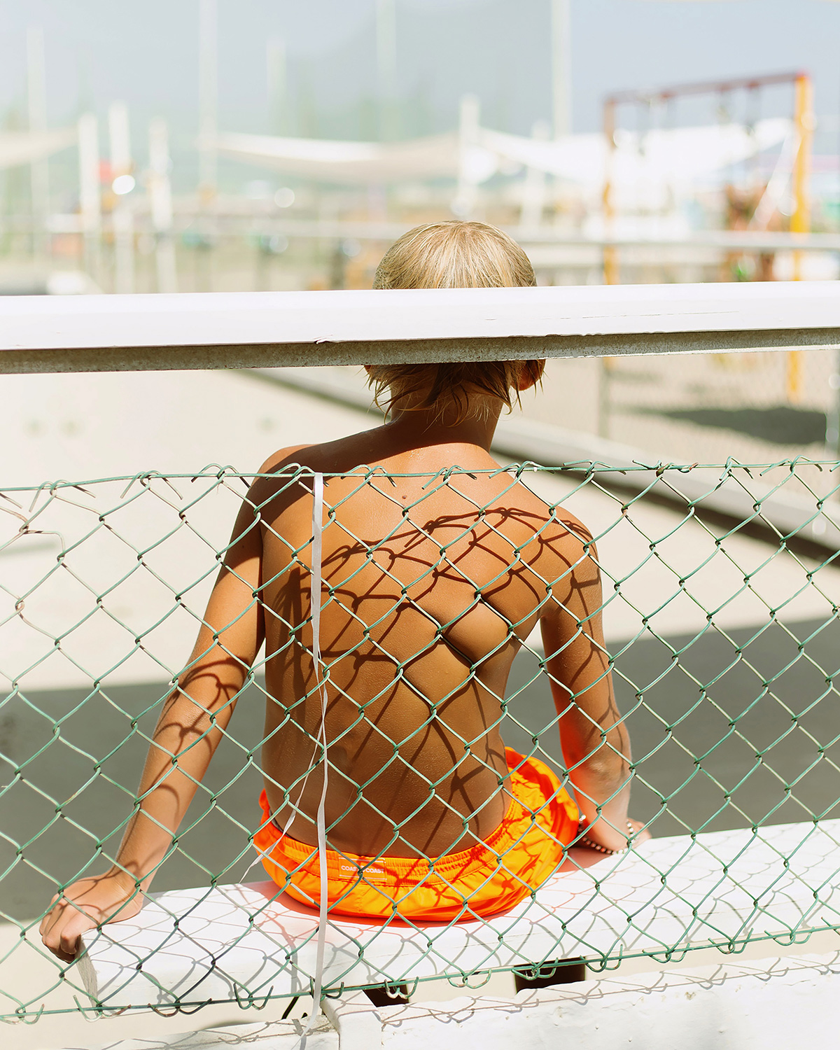 مخلوقات الماء
ـــــــــــــــــــــــــــــ
بعدسة أليس أنجيليني