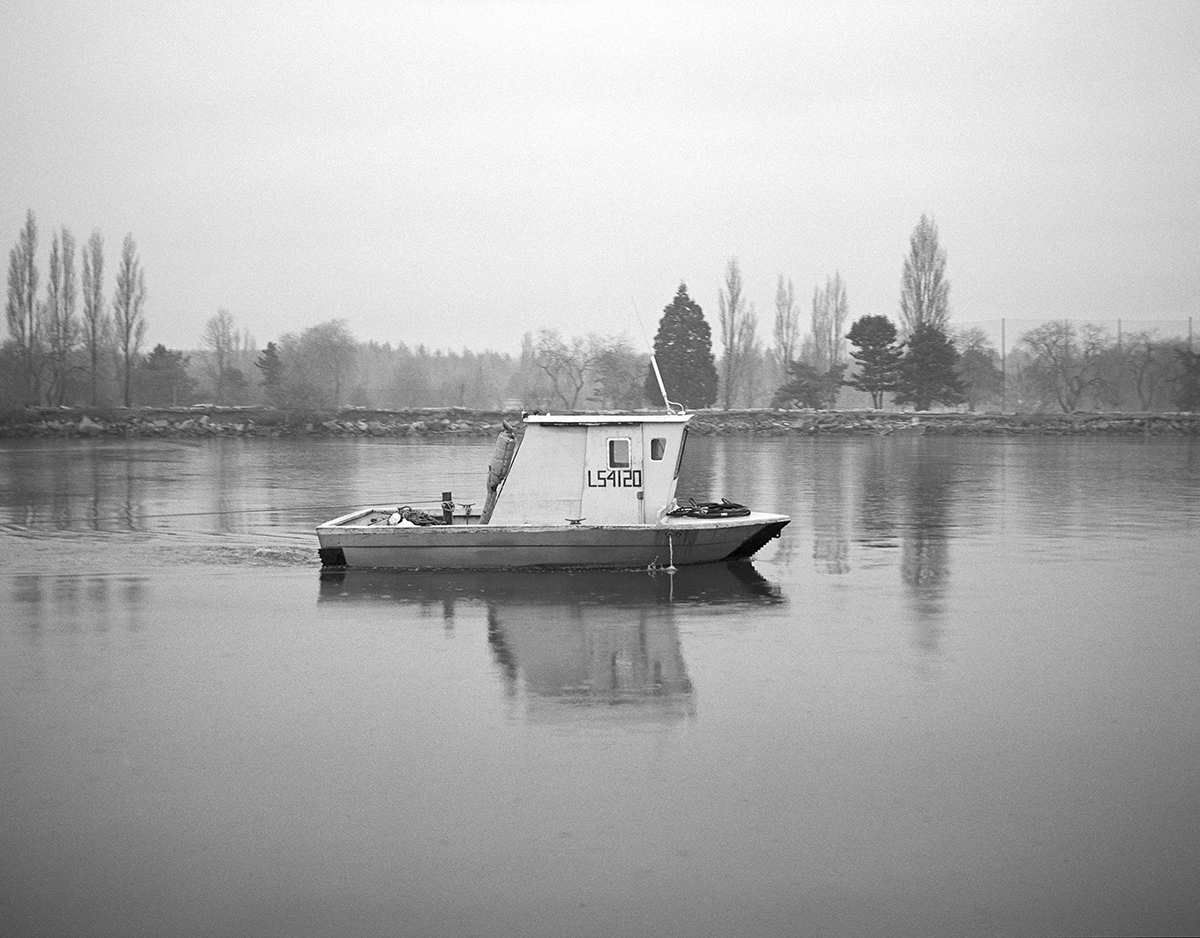 عمل بين الأغصان
بواسطة المصور ريف دينيسون