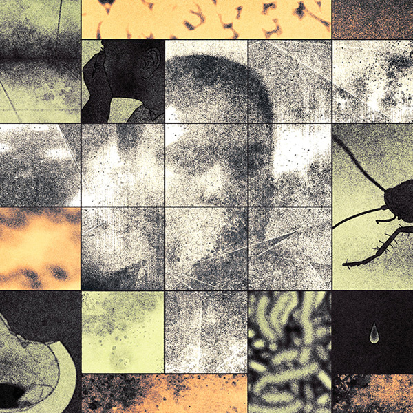 Artwork by Isabel Seliger