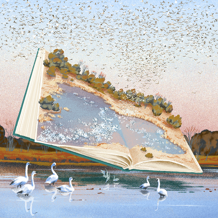 Artwork by Andrea Cheung