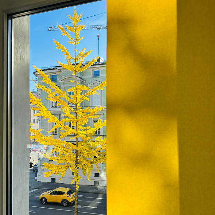 Image by Benjamin Scharf