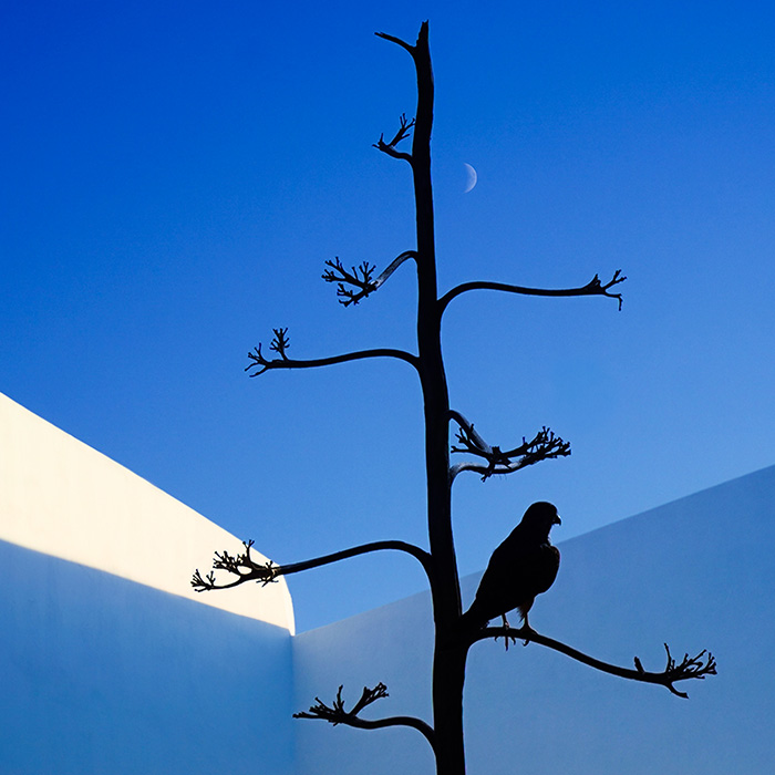 Image by Emmy Stoeri