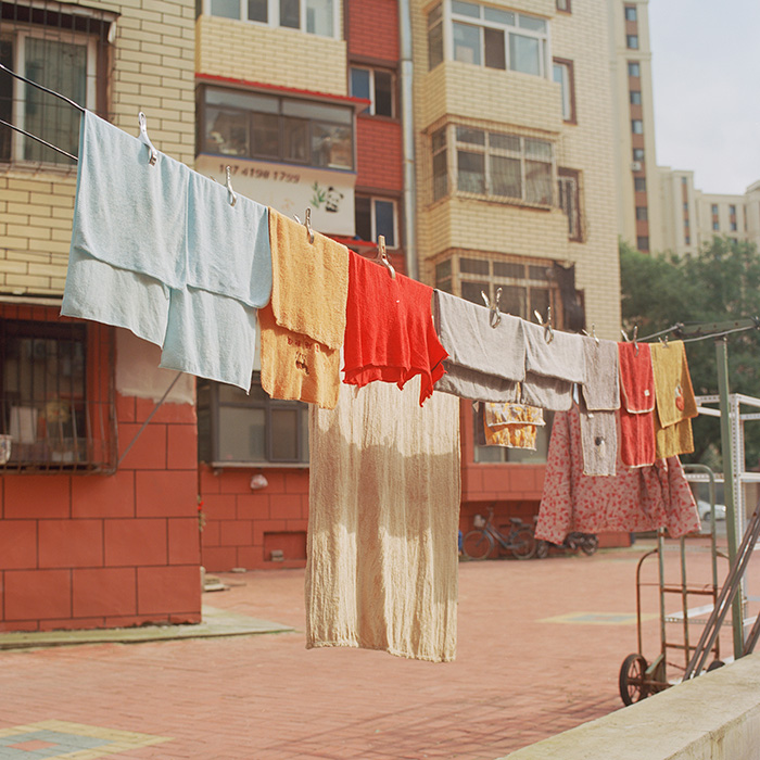 Image by Freida Wang