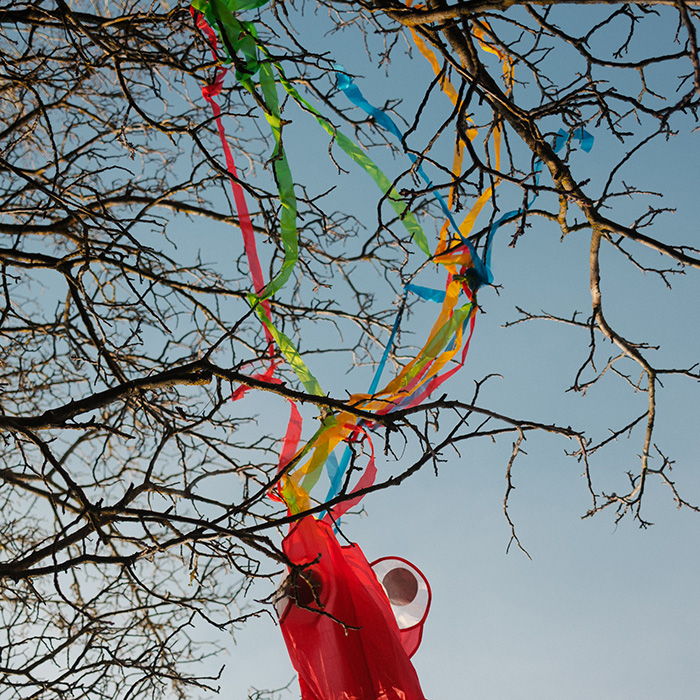 Image by Gregor Hofbauer