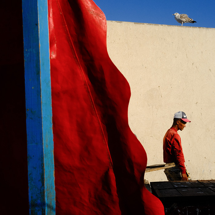 Image by Jeremy Skirrow