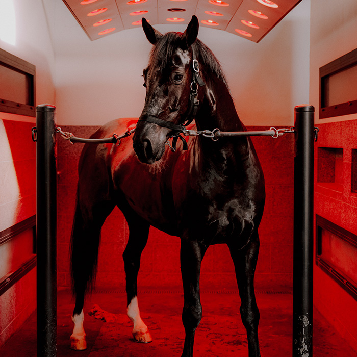 Image by Valdemar Ren