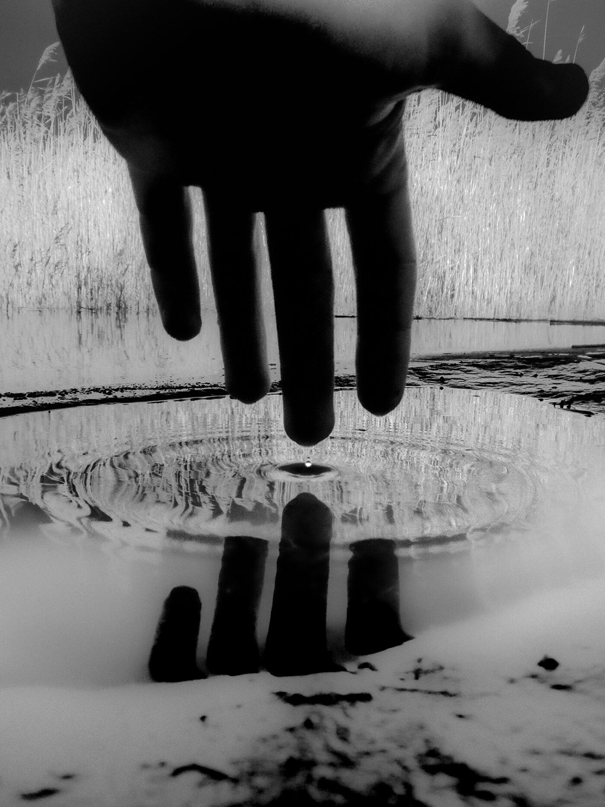 لا يمكنك أن تدخل النهر ذاته مرتين

المصور: فرانسيسكو غونزاليس كاماشو