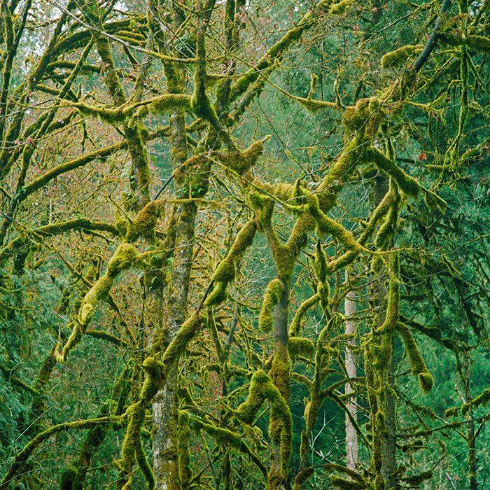 Image by Ali Bosworth