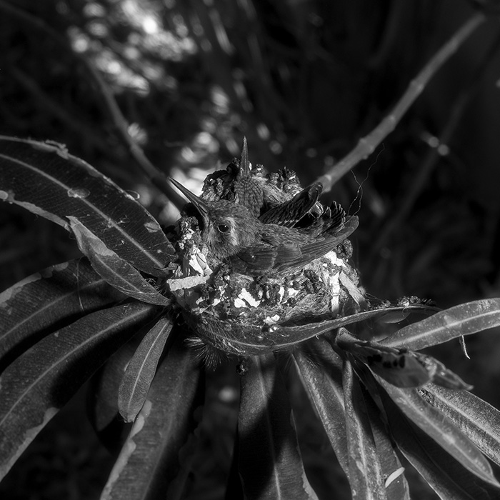 Image by Beau Devereaux