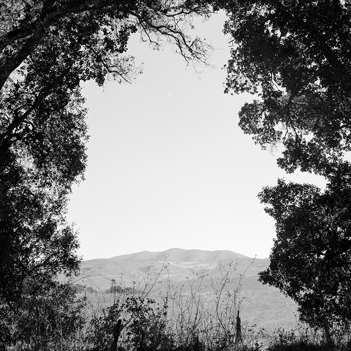 Image by Benjamin Young