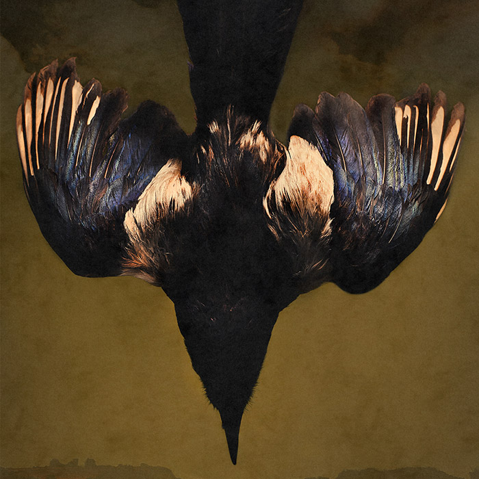 Image by Christoph Mayr