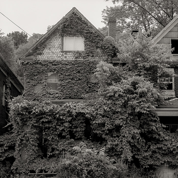 Image by Jacob Pesci