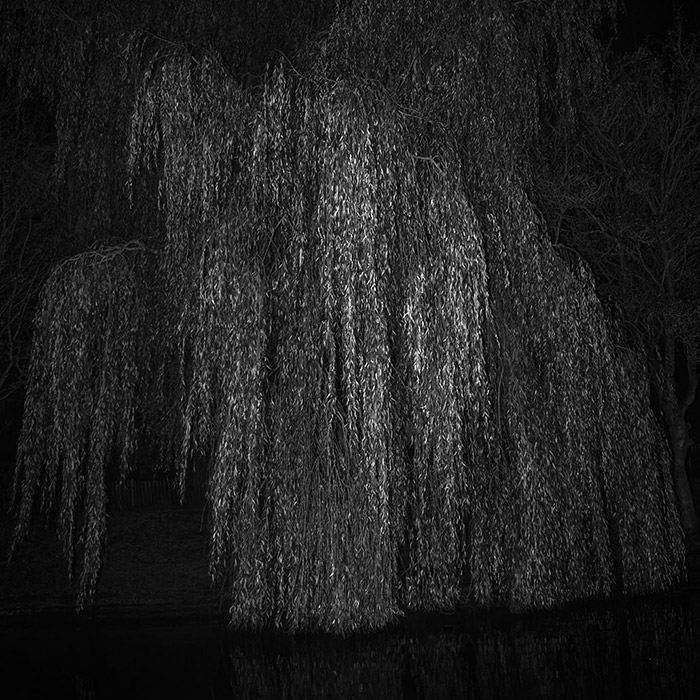 Image by Jacob Weeks