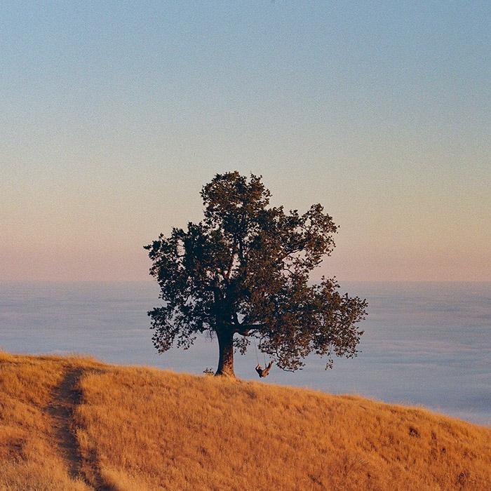 Image by Josiah Walker Hutchison