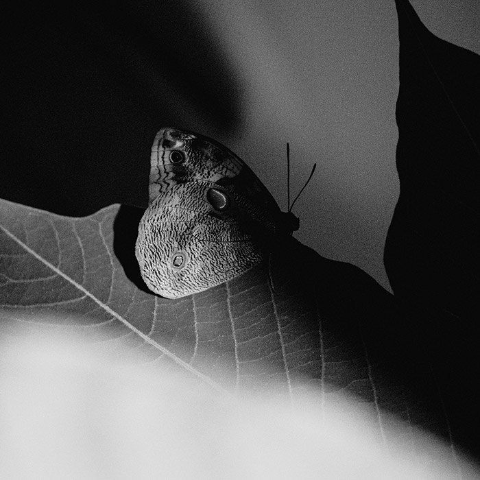 Image by Luciana Salgado