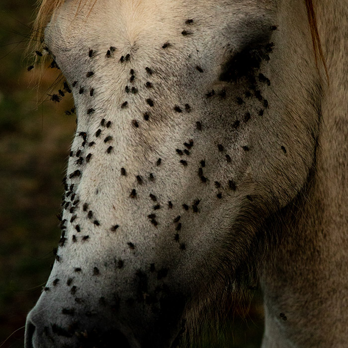 Image by Marike Hoex