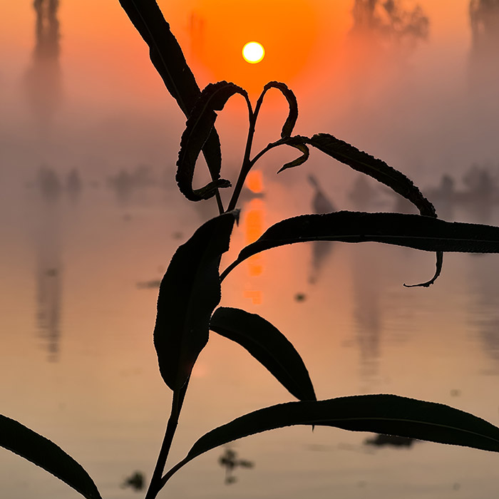 Image by Pamela Berlanga