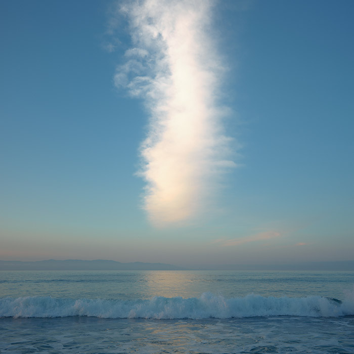 Image by Ross Gerhold