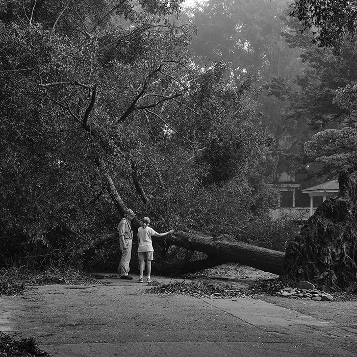 Image by Saam Batmanghelidj